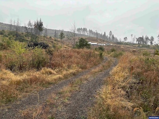 10915 Kubin Rd SE, Lyons, OR 97358