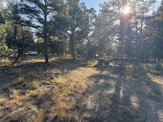 TBD County Road 27a, Cotopaxi, CO 81223