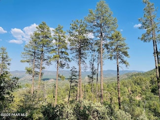 2075 S Snowy Ridge Dr S, Prescott, AZ 86303
