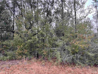 Lot 8 Pond Creek Rd, Milton, FL 32570