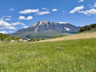 Parcel D - TBD Lamborn Mesa Rd, Paonia, CO 81428