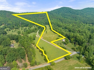 0 Freeman Rd Unit LOT 3 10539998, Cleveland, GA 30528