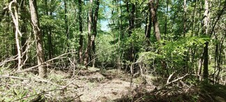 0 Coburntown (Lot 13) Rd Unit RTC2883163, South Pittsburg, TN 37380