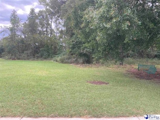 0 Main St, Sellers, SC 29592