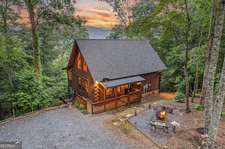 20 Dean Ct, Cherry Log, GA 30522