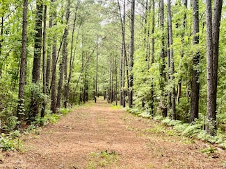 2 Becky Ln, Yemassee, SC 29945