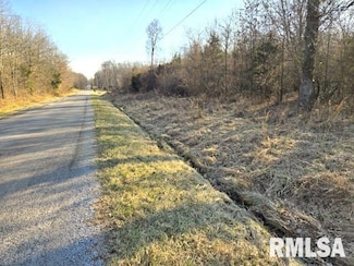 0000 N Stone Ln, Shiloh Township, IL 62864