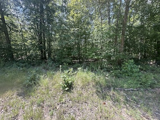 0 Brodies Landing Rd Unit RTC2971507, Parsons, TN 38363