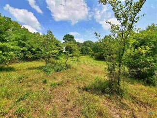 TBD NW 501 Rd, Chilhowee, MO 64733