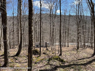 TBD Frost Valley Rd, Claryville, NY 12725