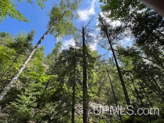 20 Acres Willow Creek Rd, Ishpeming, MI 49849