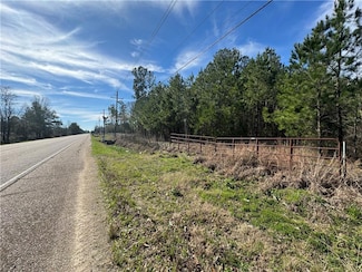 52181 Highway 51 S, Independence, LA 70443