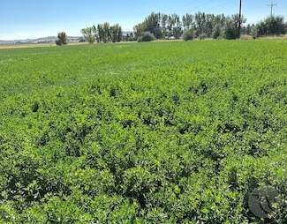 NHN S River Rd, Bridger, MT 59014