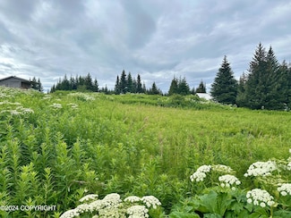 64675 Leandra Rd, Homer, AK 99603
