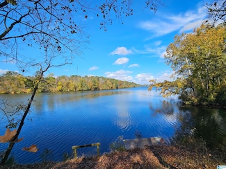 14536 Plant Rd Unit 28, Alpine, AL 35014
