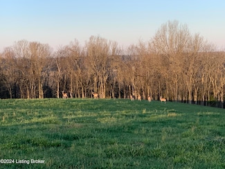 03 Tucker Ln, Springfield, KY 40069