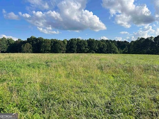 0 Lowell Rd Unit 10640679, Carrollton, GA 30116