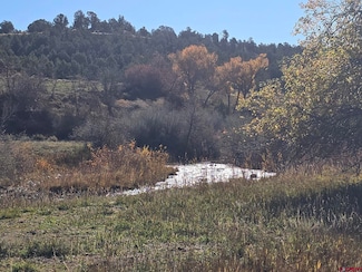 1308 Wrangler Way, Durango, CO 81303