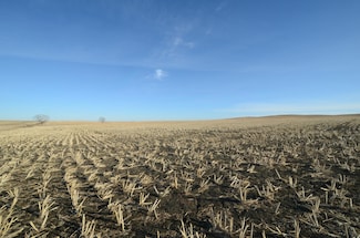 320 Acres Ne4 Sec21; Nw4 Sec36 T106 R76, Kennebec, SD 57544