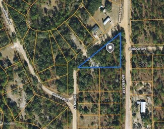 0 Brown St, Interlachen, FL 32148