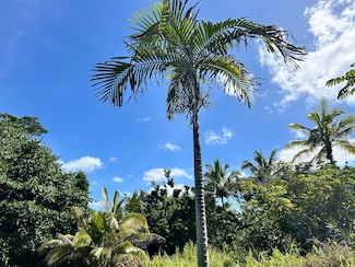 0 Uilani Dr Unit 722842, Pahoa, HI 96778