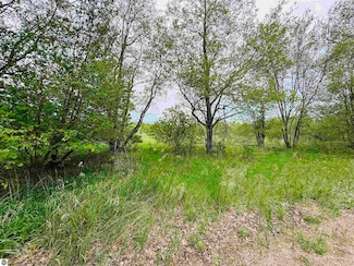 Parcel B2 N Bosscher Rd, Caldwell Township, MI 49663