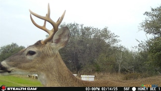 000 County Road 18, Hallettsville, TX 77964