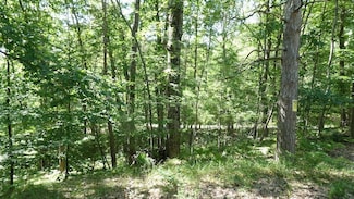 0 V L Pretty Lake Rd, Mecosta, MI 49332