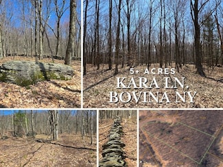 lot 25 Kara Ln, Bovina, NY 13740
