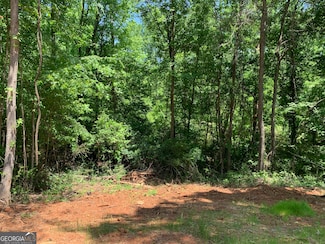 1200 Paxton Ct, Watkinsville, GA 30677