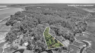 Lot 208 Riverpoint Ln NE, Townsend, GA 31331