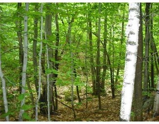 90 Maple Hill Run, Hiram, ME 04041