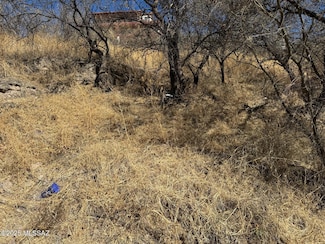 TBD W Elm St, Nogales, AZ 85621