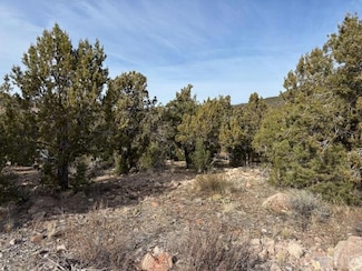 277 N Pinion Cir, Central, UT 84722