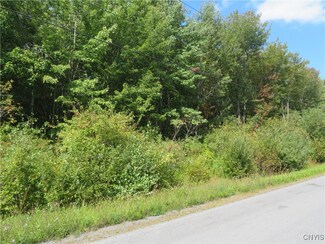 99999 Hacadam Rd, Frankfort, NY 13340