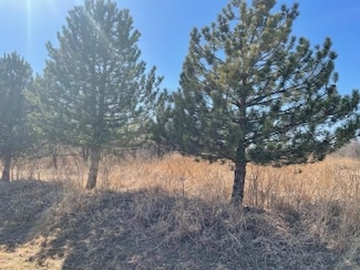 602 N 1st St, Kingfisher, OK 73750