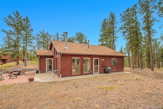 243 Bandit Ln, Bailey, CO 80421