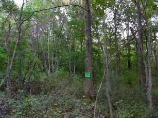 14212 New York 430, Clymer, NY 14724