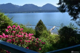 18 Lakeview Dr, Amanda Park, WA 98526