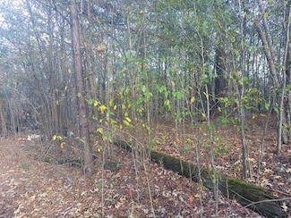 00 Rison St, Paris, TN 38242