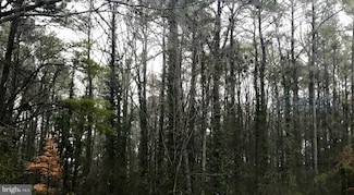 215 Lessin Dr, Lusby, MD 20657