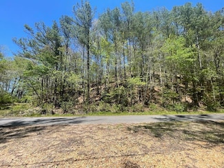 00 Sartin Rd, Hamilton, AL 35570
