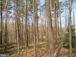 0 Bohundy Rd, Orwigsburg, PA 17961