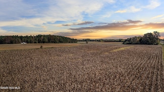 0 Nc 43 Hwy Unit 100539993, Whitakers, NC 27891