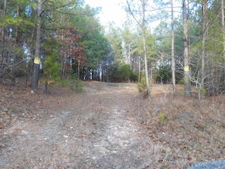 TBD Tanners Rd, Smyrna, SC 29743