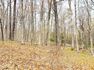 767 Tink Wig Dr, Lackawaxen Township, PA 18428