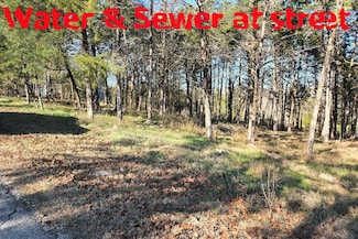 000 Cedar Ln, Rockaway Beach, MO 65740