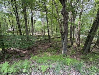 Lot 34 E Alpine Dr, Terra Alta, WV 26764