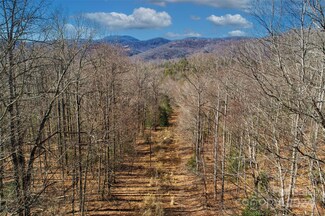 51 Shumont Rd, Black Mountain, NC 28711