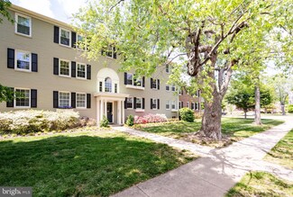 6600 Potomac Ave Unit B1, Alexandria, VA 22307